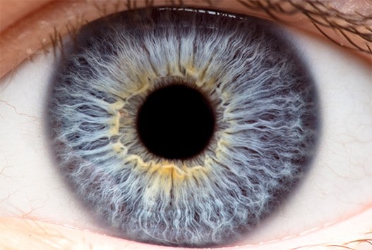 Corneal Health for Bay Area patients