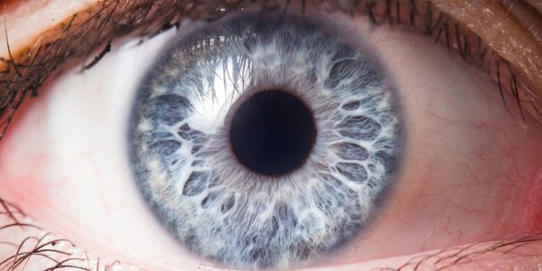 Bay Area LASIK and Cornea Specialist